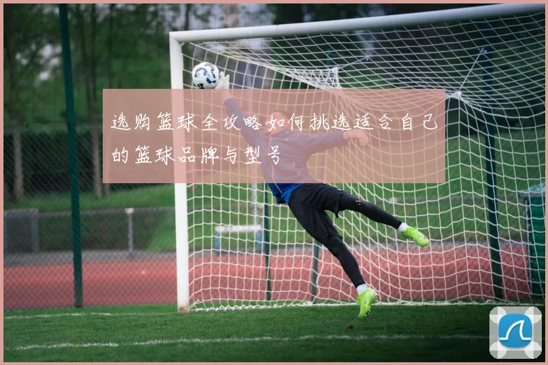 选购篮球全攻略如何挑选适合自己的篮球品牌与型号