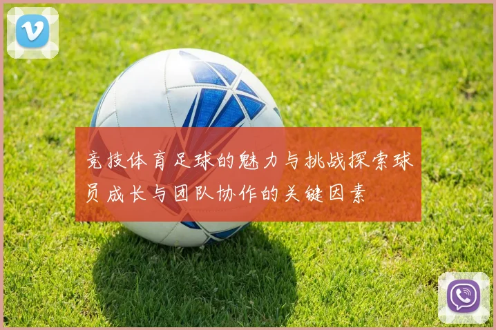竞技体育足球的魅力与挑战探索球员成长与团队协作的关键因素