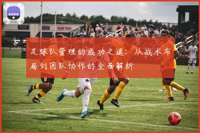 足球队管理的成功之道：从战术布局到团队协作的全面解析