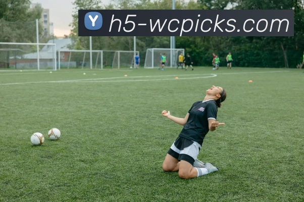 世界杯官网发展历程